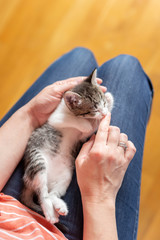 Sticker - Woman cuddling little kitten