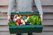 Leinwandbild Motiv A person delivering a fresh box of vegetables. Online organic food shopping