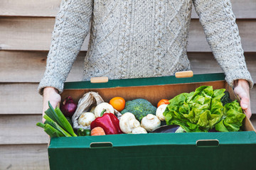 A person delivering a fresh box of vegetables. Online organic food shopping