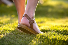 Close Up Of Woman Feet In Summer Sandals Shoes Walking On Spring Lawn Covered With Fresh Green Grass.