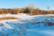 Battle Creek Snow Covered Prairie And Forest Landscape