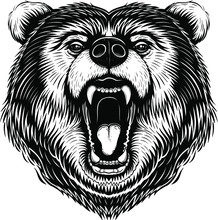 Vector Black And White Bear Head Illustration