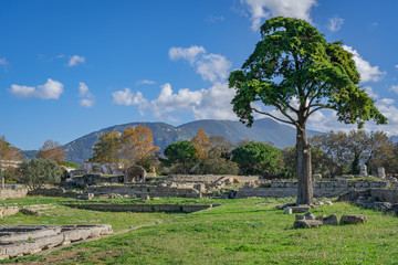 Poster - The stunning Paestum Italy