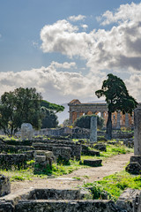 Poster - A look at a temple in Paestum Italy