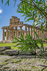 Poster - Temple of Athena in Paestum Italy