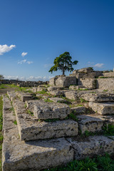 Poster - The stunning Paestum Italy