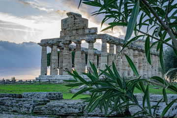 Poster - Temple of Athena in Paestum Italy