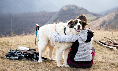 Sticker - outdoor camping with a dog