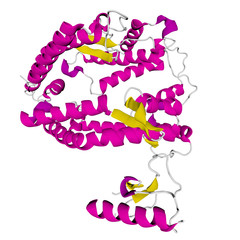 ACE2 (Angiotensin converting enzyme 2) Human ball and stick model isolated on white. Entry receptor for SARS-CoV-2. Covid-19, Coronavirus vaccine research & development. 3D rendering.