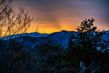 Poster - orange mountain sunrise with silhouette of trees in the foreground