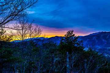 Poster - mountain sunrise with silhouette of trees in foreground