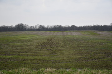 Poster - Farm Field