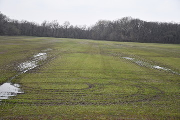 Poster - Wet Farm Field