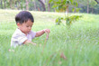 © themorningglory - Adorable asian preschooler boy playing in summer park sittingon the grass