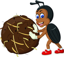 Cute Dung Beetle Cartoon