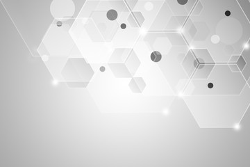 Wall Mural - the white abstract background, the gray color abstract pattern