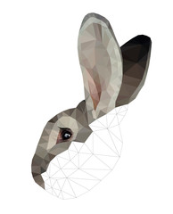 Wall Mural - Light grey bunny face low poly triangular vector illustration isolated on white. Polygonal style trendy modern logo business fairy design template for easter invitations and greetings.