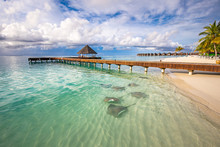 Fantastic Beach Landscape With Sting Rays And Sharks In Green Blue Lagoon In Luxury Island Resort Hotel, Maldives Beach And Wildlife. Tropical Paradise View And Summer Vacation Or Tourist Destination