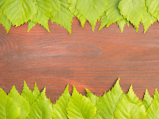 Green birch leaves on a brown wooden background with copy space