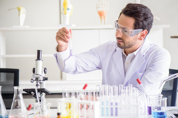 Wall Mural - attractive happiness scientist man lab technician assistant analyzing sample in test tube at laborat