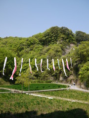 美しい鯉のぼりがはためく日本の伝統的な田園風景