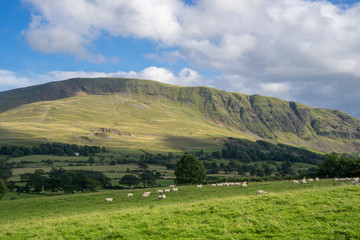 Wall Mural - Countryside of the Lake District