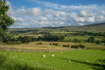 Wall Mural - Countryside of the Lake District