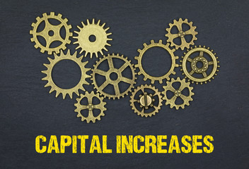 Canvas Print - Capital increases 