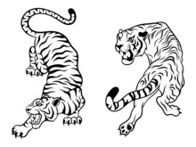 Set Of Big Tigers. Collection Of Portraits Of Predatory Wild Cats. Set Of Wildlife And Fauna Dwellers. Vector Illustration On A White Background. Tattoo.