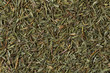 © Picture Partners - Dried Thyme close up