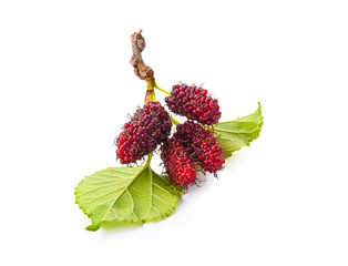 Sticker - Fresh mulberry with leaf on white background