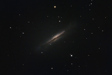 Wall Mural - The Hamburger Galaxy NGC 3628 in the constellation Leo photographed from Mannheim in Germany.