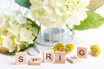 Wall Mural - White green hortensia flowers