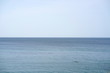 © ebraxas - Ostsee