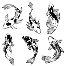 Set Of Koi Carps Fish. Сollection Of Silhouettes Of Asian Ornamental Fish For A Pond. Top View Of Fish. Vector Illustration For Decorative Fishing.