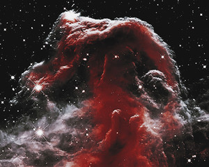 Wall Mural - the horsehead nebula in the constellation of orion (the hunter).elements of this image are furnished