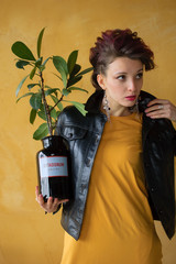 Studio portrait of glamorous lady in punk rock style party clothes with dark pink mohawk in casual dress, black leather jacket, and long earrings on yellow background holding flowerpot with ficus