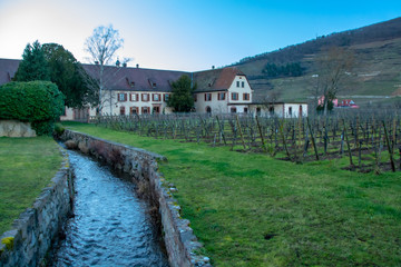 Wall Mural - sunset at the domaine