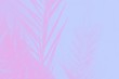 © kvitkanastroyu - Pink date palm leaves on pale violet background