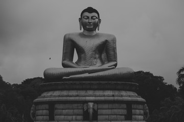 buddha statue