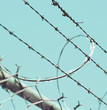 © ML Harris - Barbed wire and razor wire on chain link fence. Security, prison, obstacle, difficulty concepts.