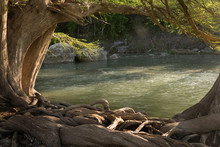Guadalupe River State Park, Texas, US