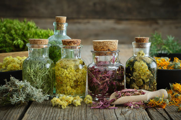 Wall Mural - Bottles of tincture or infusion of healthy medicinal herbs and healing plants on wooden board. Herbal medicine.