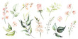 Watercolour floral illustration set. DIY flower, green leaves elements collection - for bouquets, wreaths, arrangements, wedding invitations, anniversary, birthday, postcards, greetings, cards, logo.