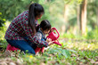 © freebird7977 - Asian family mom and kid daughter plant sapling tree outdoors in nature spring for reduce global warming growth feature and take care nature earth. People kid girl in forest background