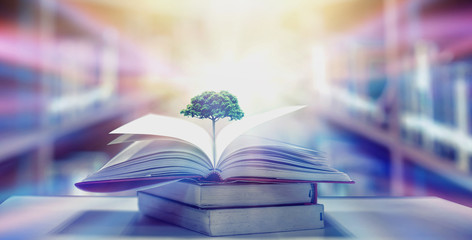 Wall Mural - The concept of education by planting a tree of knowledge in the opening of an old book in the library and the magical magic of light that flies to the destination of success. Beautiful background