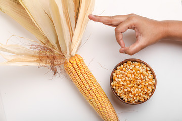 Dried corn seeds in bowl on white background