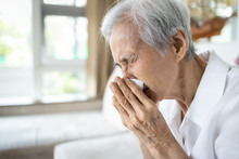 Sick Asian Senior Woman Blowing Nose With Tissue Paper While Runny Nose,sneeze,elderly With Sinusitis,sinus Virus Disease,infection Symptom Of Flu,cold,fever,old People With Respiratory Problems