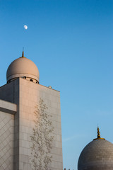 Abu Dhabi Grand Mosque Dome