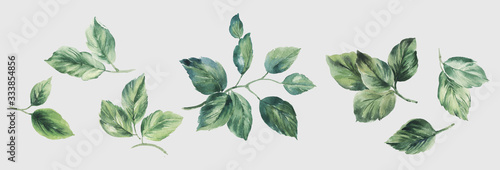 Flowers watercolor illustration.Manual composition.Big Set watercolor elements.